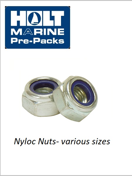 S/Steel Nyloc Nuts M10